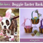 doggieasterbasket