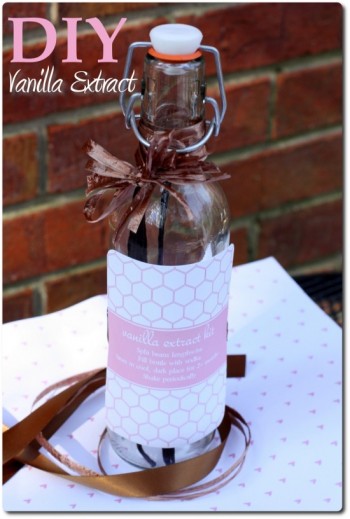diy vanilla extract kit