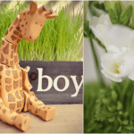 Spring Giraffe Baby Boy Shower on Pizzazzerie.com