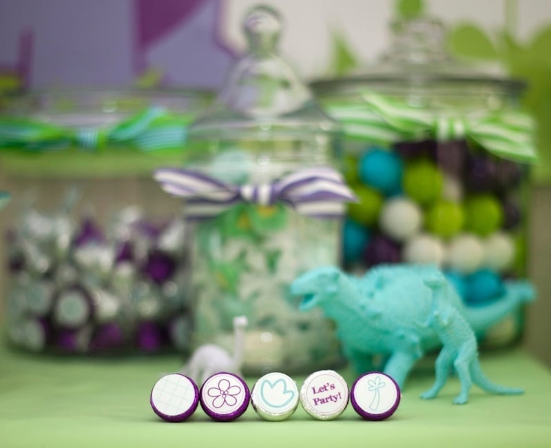 “Darling Dinos” – A Girly Dinosaur Party!