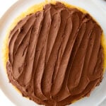 Chocolate Frosting made with Store Bought Canned Frosting