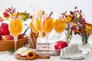 Spiked Apple Cider Punch